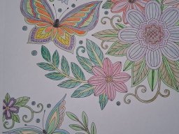 whatsapp image 2026-01-06 at 12.01.06